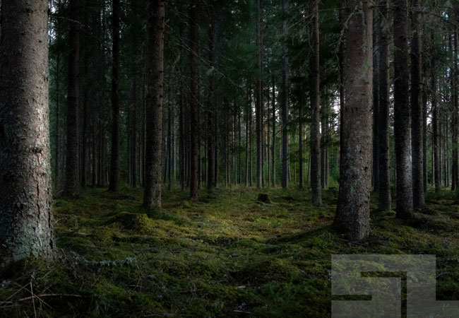 In-Person Interview With Unusual Russian Hacker